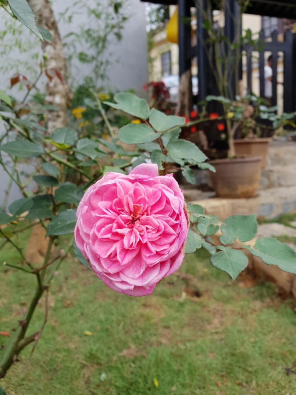 Sapa Charming Homestay Eksteriør bilde