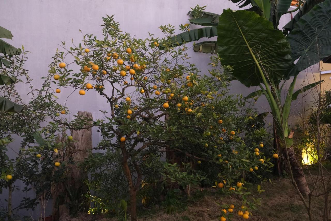 Sapa Charming Homestay Eksteriør bilde